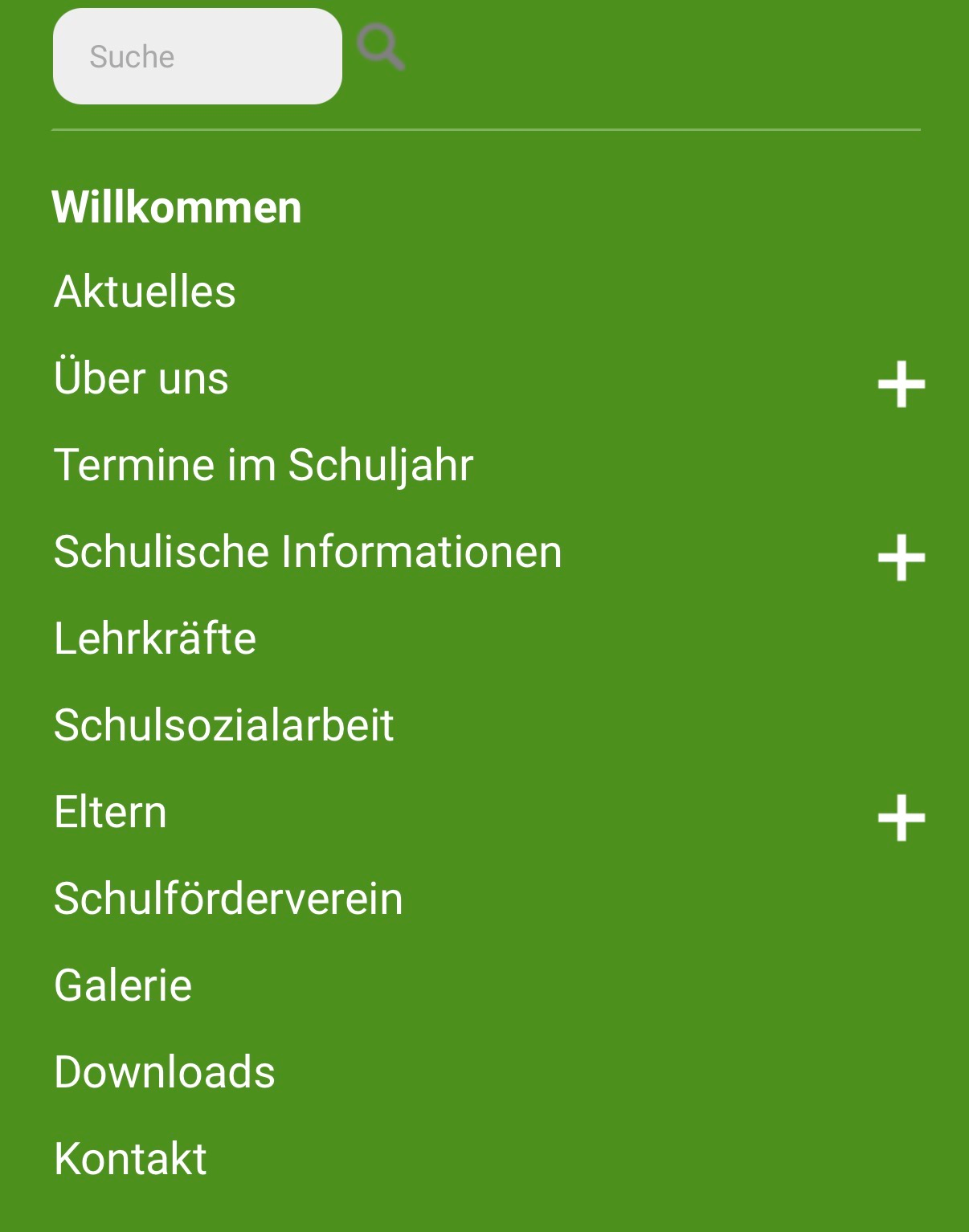 Hauptmenü auf dem Handy